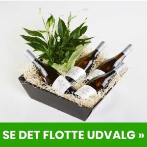 Send øl, vin, champagne & spiritus